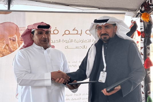 توقيع أتفاقية تعاون بين جمعية الثروة الحيوانية التعاونية  ورابطة هجر للأبقار