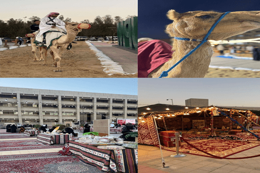 فعالية جامعة البترول