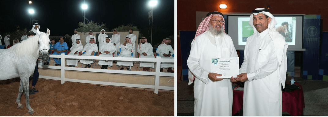 الأمراض الطفيلية في الخيول